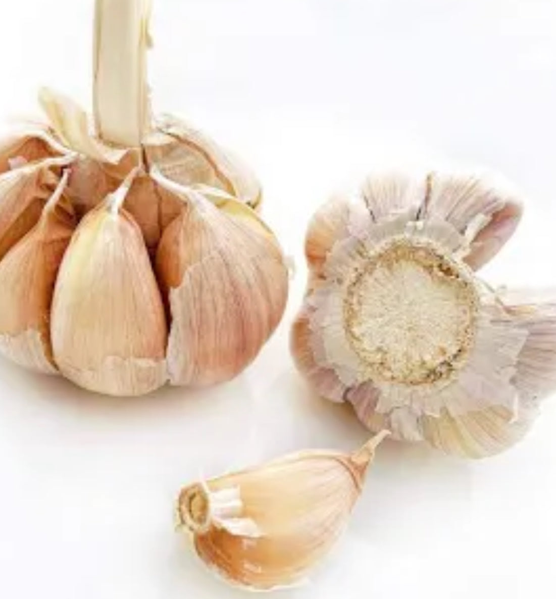 Garlic Essential Oil 5ml