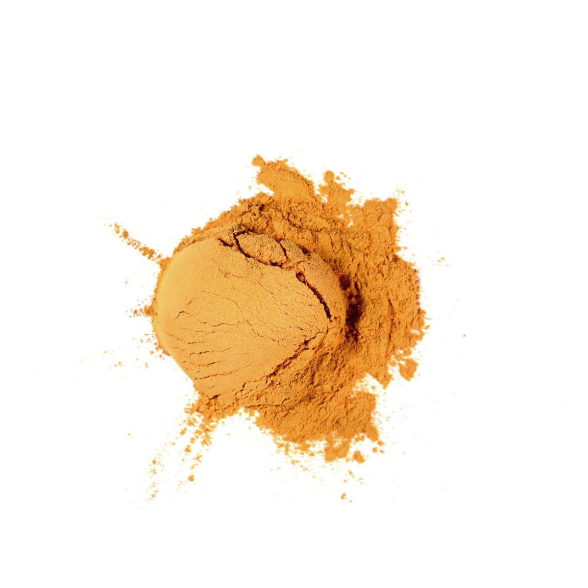 Cordyceps Mushroom Powder Organic