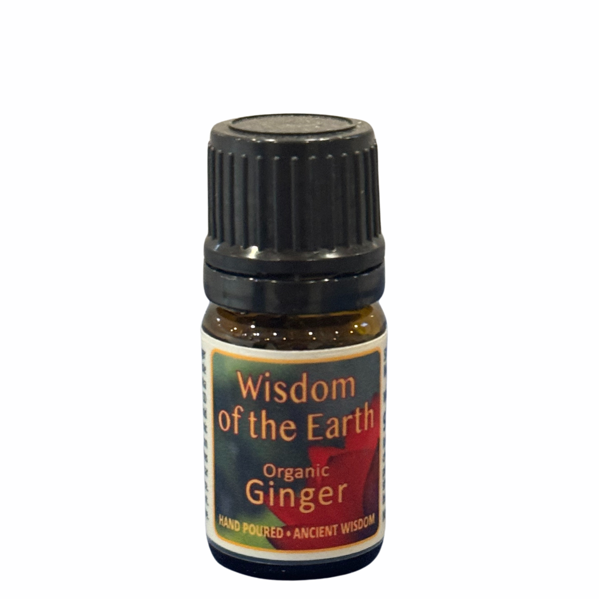 Ginger Essential Oil 5ml