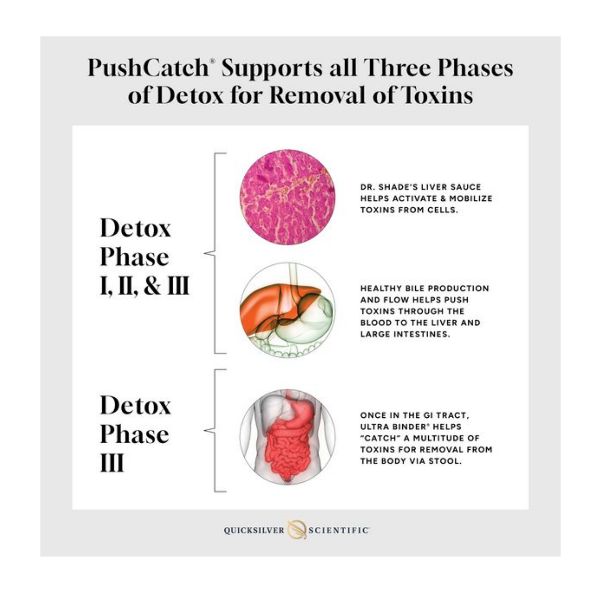 PushCatch Liver Detox