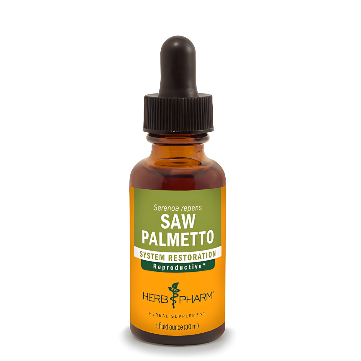 Saw Palmetto