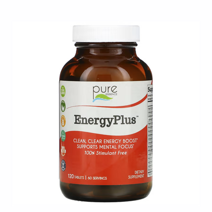 Energy Plus