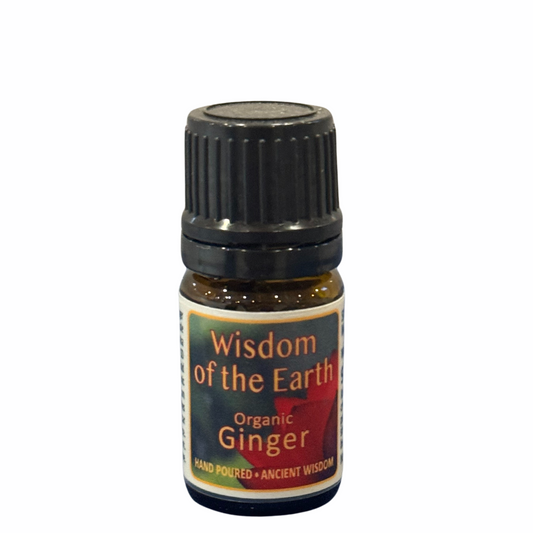 Ginger Essential Oil 5ml