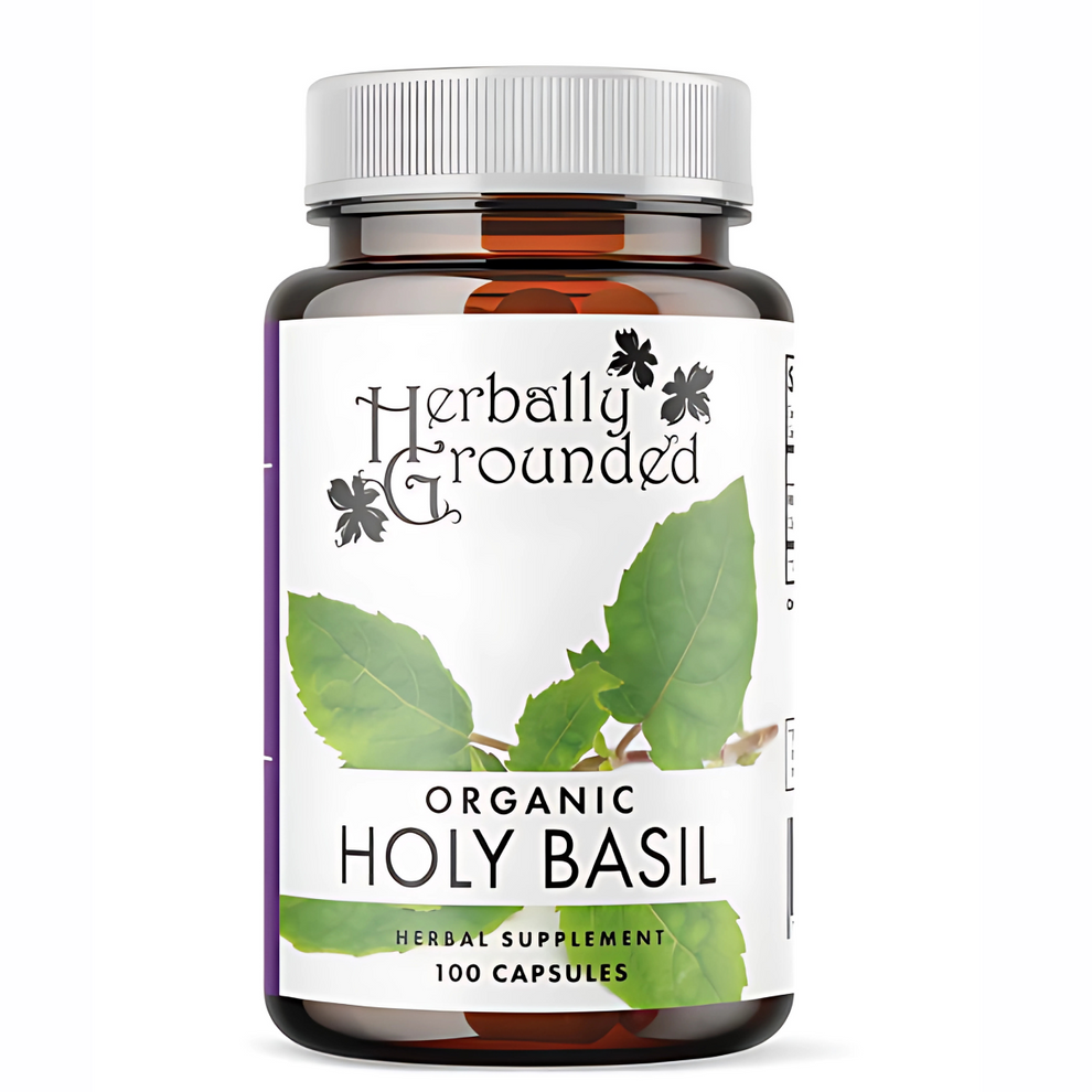 Holy Basil 100c – ZuZu's Energy at Lilly Fields Center!