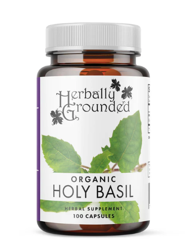 HOLY BASIL 100 C