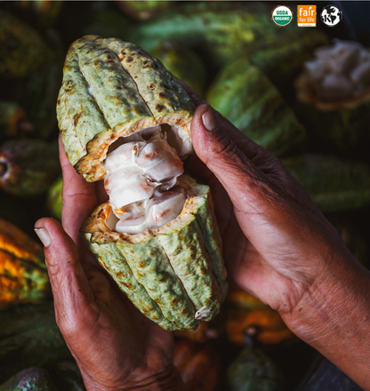 Raw Cacao Powder